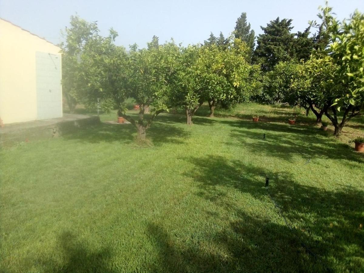 Appartamento In Orosei In Villa Delle Arance 300Mt Dalla Spiaggia Kültér fotó