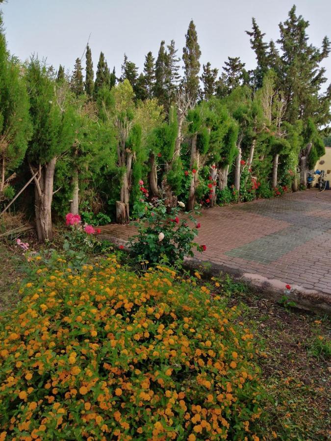 Appartamento In Orosei In Villa Delle Arance 300Mt Dalla Spiaggia Kültér fotó